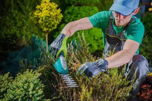 landscaping services Arjay